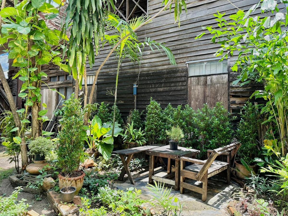 Cozy Nest Cnx Hostel Чиангмай Екстериор снимка